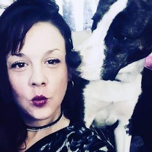 Meet your Posher, Hols